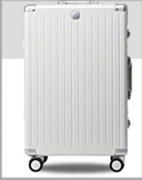 wheel type Luggage bag while model LX-1910